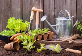 Sigma Cleaning and Gardening Services